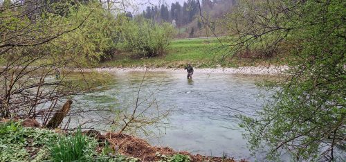 poor-fishing-sava-bohinjka-2023-03