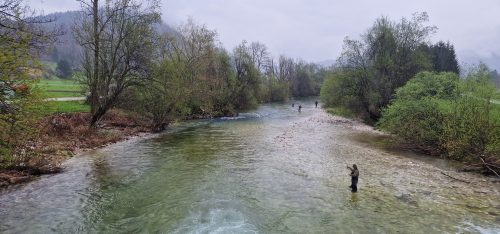poor-fishing-sava-bohinjka-2023-04