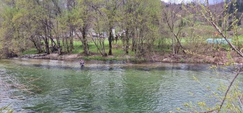 poor-fishing-sava-bohinjka-2023-08