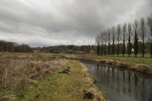 river-test-damselfly-day-15