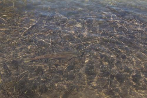 river-test-day-2-30