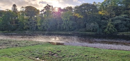 salmon-fishing-dee-river-2023-07