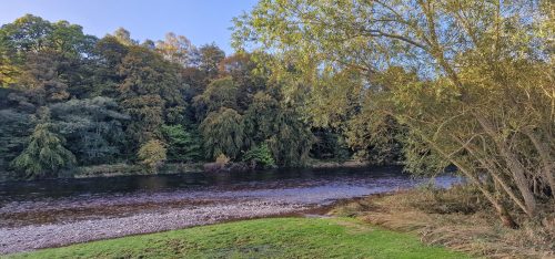 salmon-fishing-dee-river-2023-08