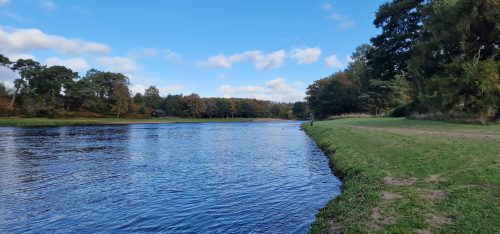 salmon-fishing-dee-river-2023-11