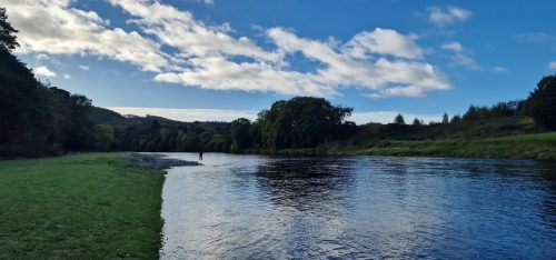 salmon-fishing-dee-river-2023-12