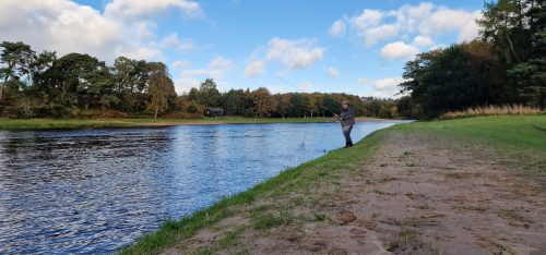 salmon-fishing-dee-river-2023-13
