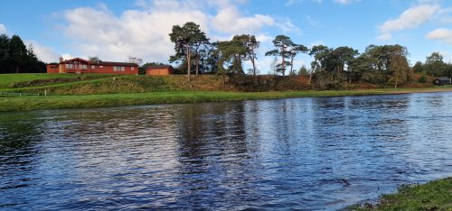 salmon-fishing-dee-river-2023-15