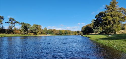salmon-fishing-dee-river-2023-16