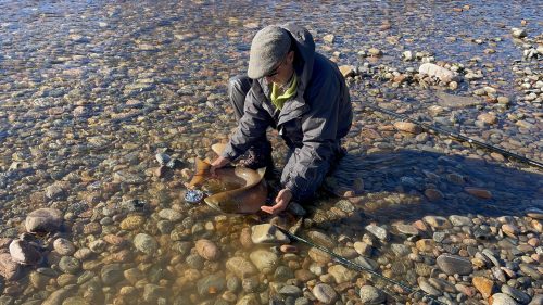 salmon-fishing-dee-river-2023-25