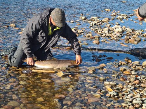 salmon-fishing-dee-river-2023-29