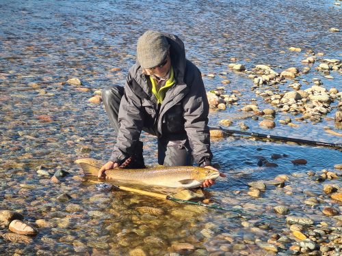 salmon-fishing-dee-river-2023-33