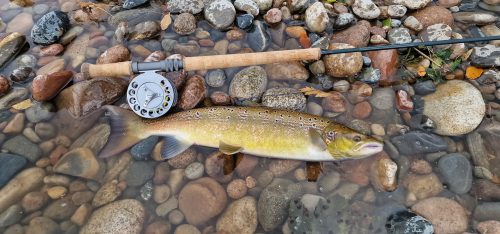 salmon-fishing-dee-river-2023-36