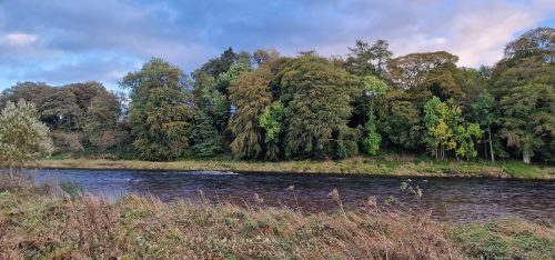 salmon-fishing-dee-river-2023-41