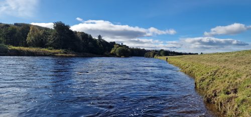 salmon-fishing-dee-river-2023-71