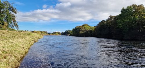 salmon-fishing-dee-river-2023-72