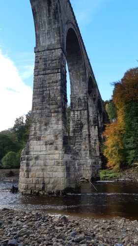 salmon-fishing-south-tyne-river-2018-19