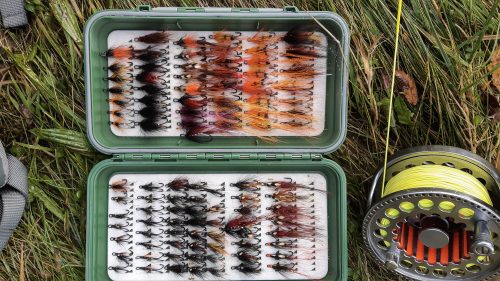 salmon-fishing-south-tyne-river-2018-20