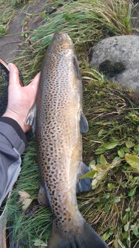salmon-fishing-south-tyne-river-2018-23