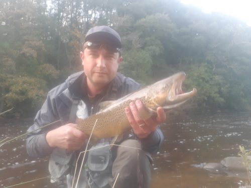 salmon-fishing-south-tyne-river-2018-24
