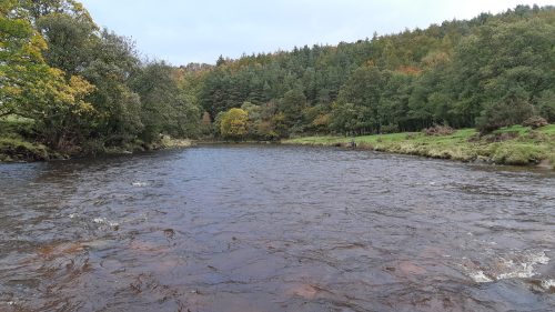 salmon-fishing-south-tyne-river-2018-26