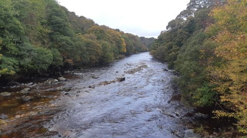 salmon-fishing-south-tyne-river-2018-28