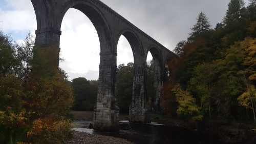 salmon-fishing-south-tyne-river-2018-29