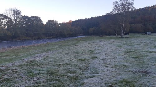 salmon-fishing-south-tyne-river-2018-32
