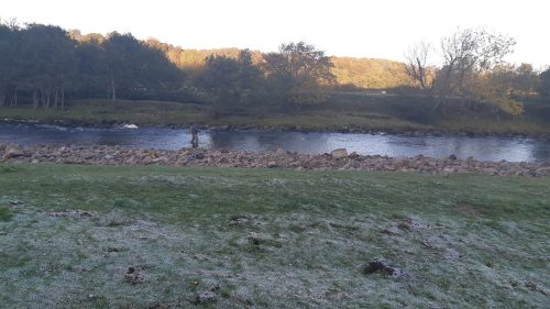 salmon-fishing-south-tyne-river-2018-33