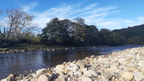 salmon-fishing-south-tyne-river-2018-35