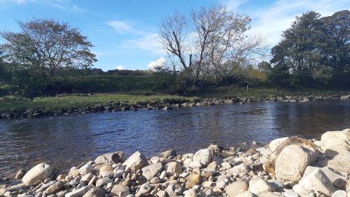 salmon-fishing-south-tyne-river-2018-36