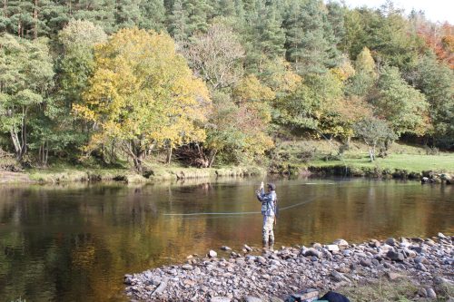 salmon-fishing-south-tyne-river-2018-38