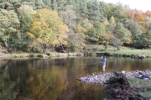 salmon-fishing-south-tyne-river-2018-39