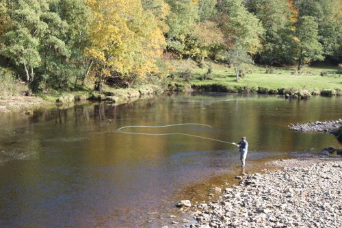 salmon-fishing-south-tyne-river-2018-42