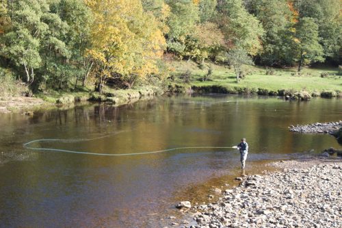 salmon-fishing-south-tyne-river-2018-43
