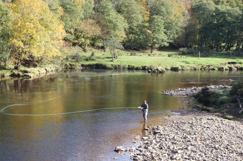 salmon-fishing-south-tyne-river-2018-44