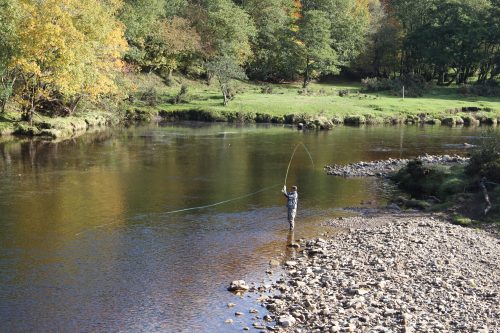 salmon-fishing-south-tyne-river-2018-45