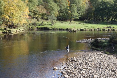 salmon-fishing-south-tyne-river-2018-46