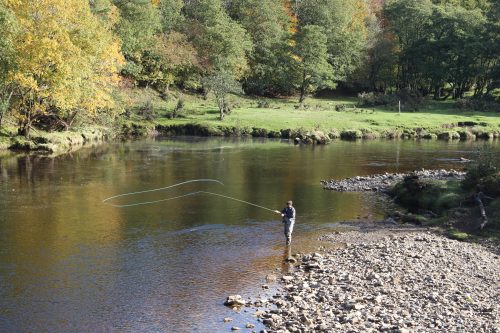 salmon-fishing-south-tyne-river-2018-47