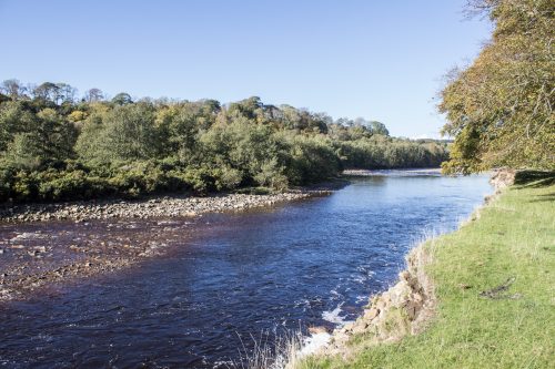 salmon-fishing-south-tyne-river-2018-50