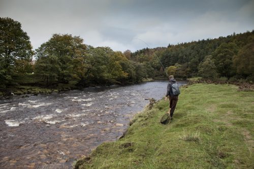salmon-fishing-south-tyne-river-2018-51