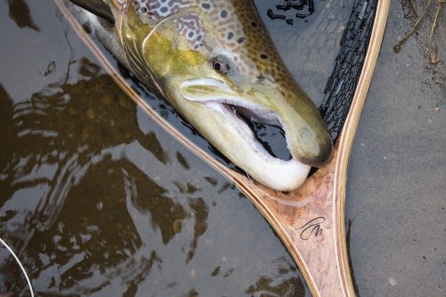 salmon-fishing-south-tyne-river-2018-56