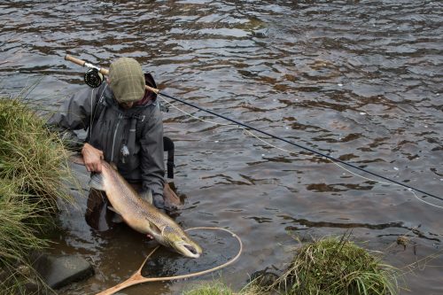 salmon-fishing-south-tyne-river-2018-58