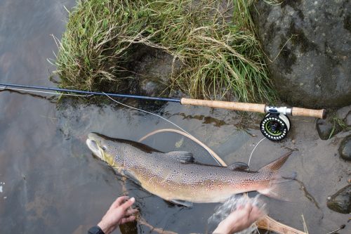 salmon-fishing-south-tyne-river-2018-59