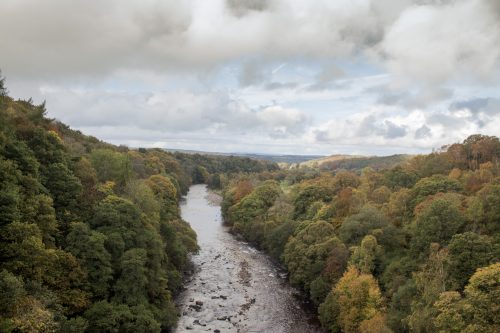 salmon-fishing-south-tyne-river-2018-60