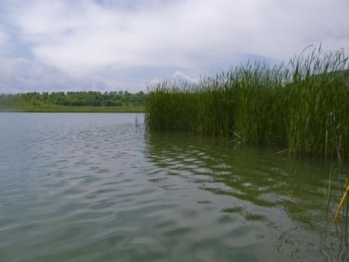 shumen-lake-chervenoperki-06