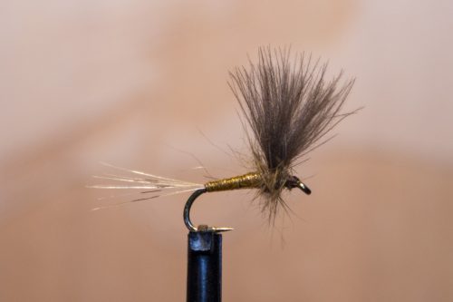 small-flies-for-Bosnia-04
