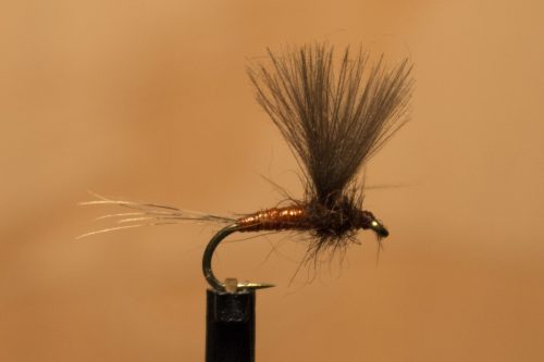 small-flies-for-Bosnia-07