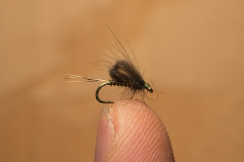 small-flies-for-Bosnia-21