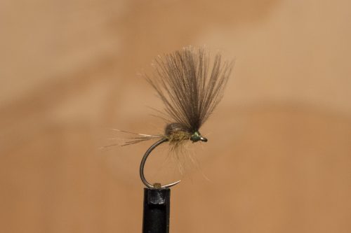 small-flies-for-Bosnia-22