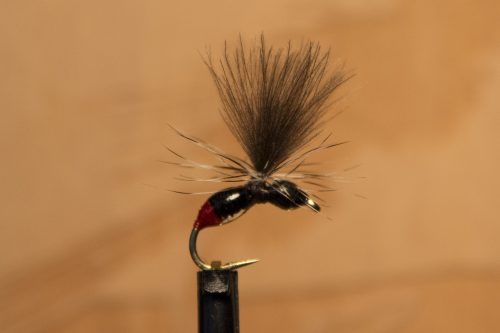 small-flies-for-Bosnia-29